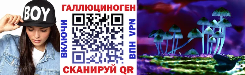 Галлюциногенные грибы GOLDEN TEACHER  Купить закладки  Кувшиново 